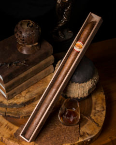 La Aurora Stravaganza